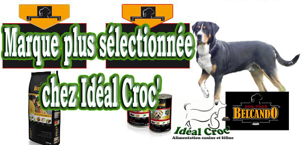 aliment belcando pour chien