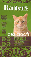 Alimentation idéale pour chats adultes de races moyennes